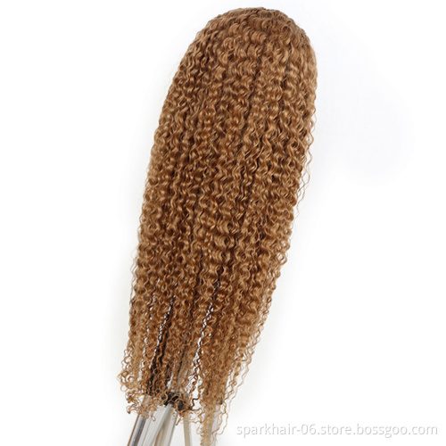 #27 Honey Blonde Kinky Curly Hair Lace Frontal Wig Raw Human Hair Vendor Wholesale Brazilian Virgin Human Hair Lace Closure Wigs